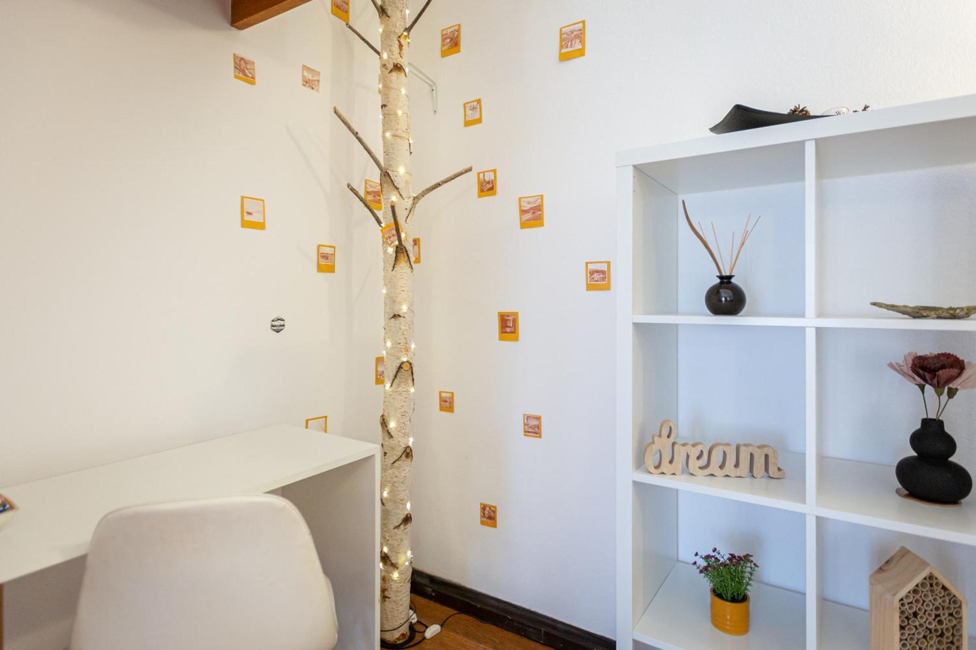 Dream Guesthouse Braszów Zewnętrze zdjęcie